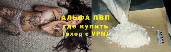 ГАЛЛЮЦИНОГЕННЫЕ ГРИБЫ Карталы