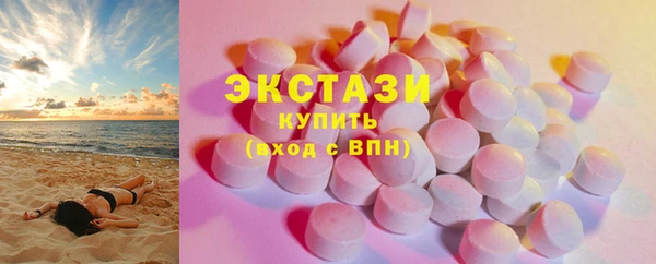 гашик Каменка