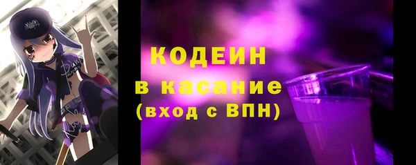 гашик Каменка