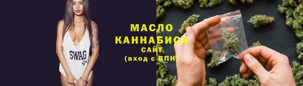 гашик Каменка