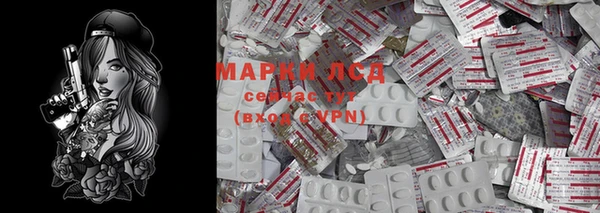ГАЛЛЮЦИНОГЕННЫЕ ГРИБЫ Карталы