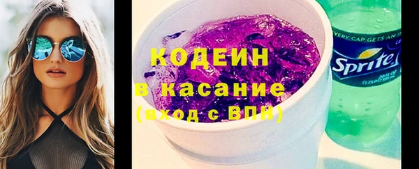 гашик Каменка
