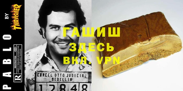 гашик Каменка