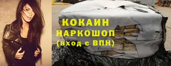 гашик Каменка