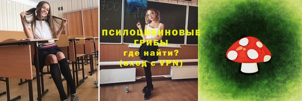 гашик Каменка