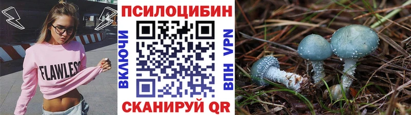 Купить закладки  Оленегорск  Галлюциногенные грибы Psilocybine cubensis 